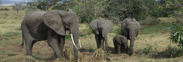 Private Guided Trips with Dan Griffith